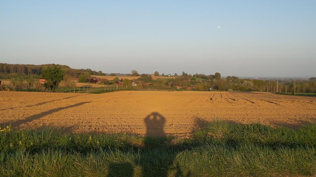 Renaixance Villa Oda fotoğraf